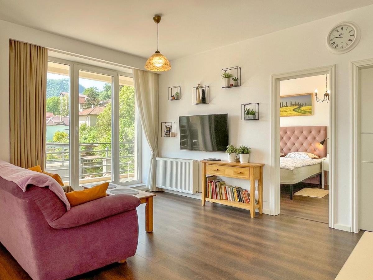 Central Premium Apartment Brasov Exterior photo